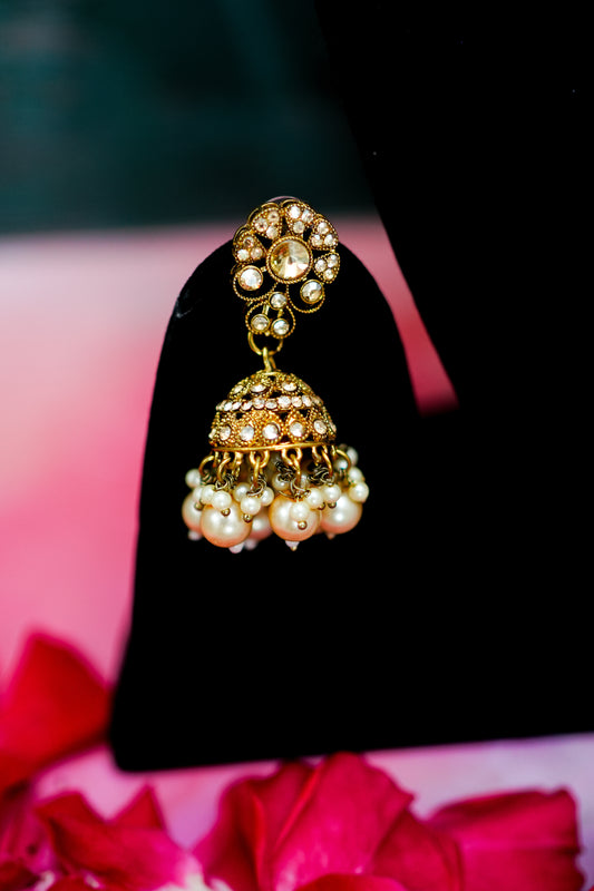 Ivory noor